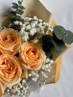 Timeless | Champagne Rose & Baby's Breath Bouquet