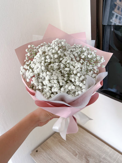 Baby's Breath